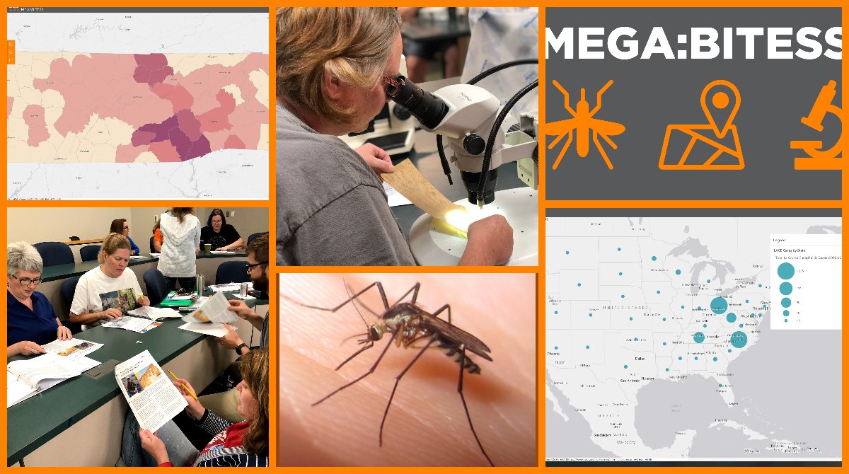 The #megabitess program enables teachers and students to use real data to better understand #LACV and why it's so prevalent here in East TN. We'd love your support to continue the program through the #BigOrangeGive at bit.ly/3fXipP5