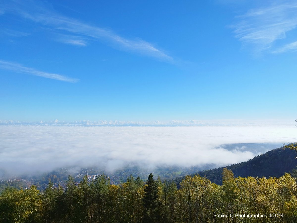 SabineL67's tweet photo. Ciel dégagé aujourd'hui... Seuls quelques cirrus ont fait leur apparition au fil de la journée avec une belle mer de nuages sur la plaine ce matin !!
#Arcblanc 📍#Duppigheim
#MerdeNuages 📍#Ottrott
#Alsace #BasRhin #Météo #Météo67 https://t.co/cFD8xyIkJF