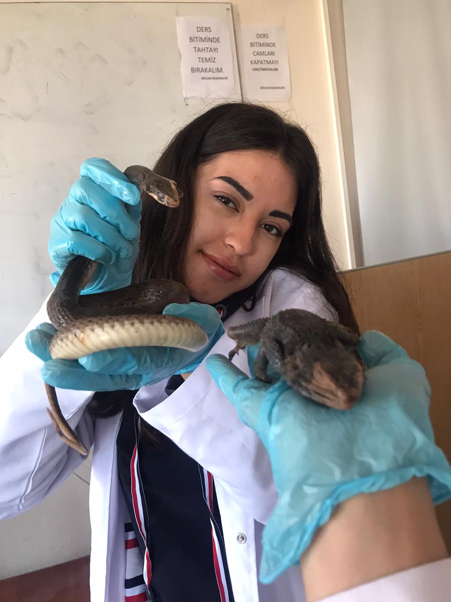 Gayet verimli bir dersti teşekkürler