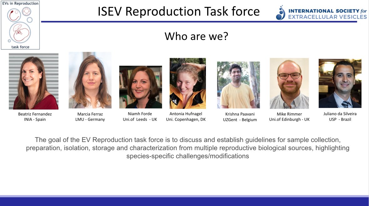 Really excited for the launch of the 1st #ReproEV Task Force meeting as part of <a href="/IsevOrg/">ISEV</a> @IsevComms with <a href="/AntoniaHufi/">Antonia Hufnagel</a> <a href="/kc_pavani9/">Krishna C Pavani, PhD</a> <a href="/JucaDaSilve/">Juliano Da Silveira</a> @MarciaFerraz11 <a href="/niamhforde/">Prof Niamh Forde</a> discussing all thing EV related in reproduction!