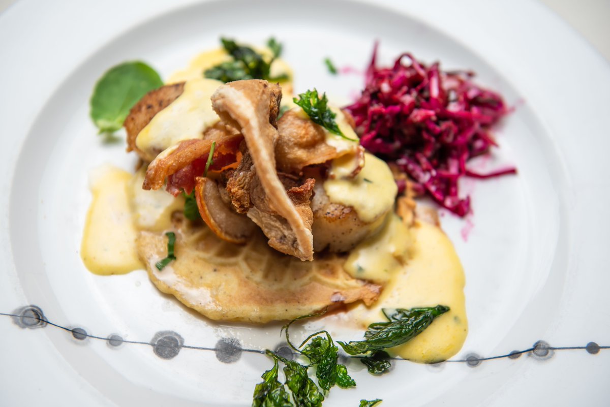 Plated Perfection🍽️ Enjoy George’s Bank Diver Scallop ‘Benedict’ with crisped bacon and handmade corn pizzelle #SeeYouAtScampo