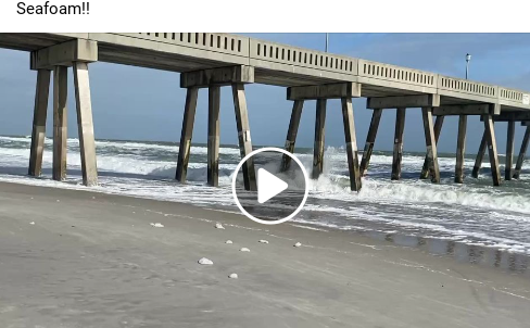 BobbiStorm tweet media