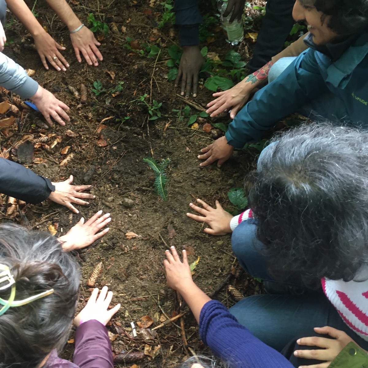 Im Rahmen unserer Teilnahme zur #jugendklimakonferenz bekam das NationalparkZentrum als Dankeschön eine Weißtanne überreicht. Diese wurde Anfang Okt. gemeinsam mit int. Klimaschutz-Stipendiaten der Alexander von Humboldt-Stiftung in Cunnersdorf eingepflanzt. Vielen Dank! 😃