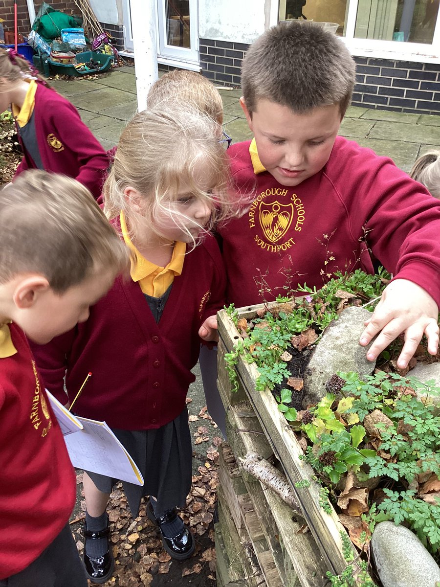 FRISroom15's tweet photo. We explored the microhabitats of mini beasts in the triangle garden and did a survey to see the most common ones we saw! #FRISScience ππΏπ¦π· https://t.co/S04Vx2X3Yg