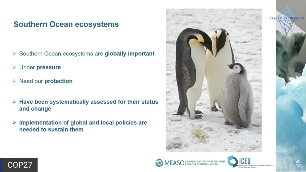 @drsianhenley Now speaking @BAS_News scientist Dr Nadine Johnston with four urgent key messages for #SouthernOcean ecosystems. @MEASO20 @ICEDantarctic youtube.com/watch?v=XBTyoq…