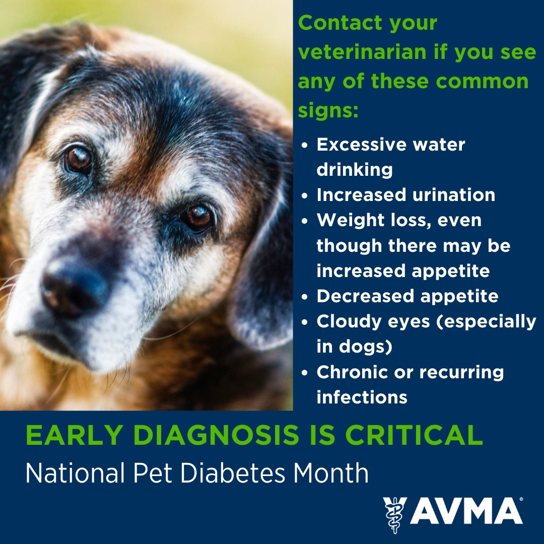 Tweet by AVMA (American Veterinary Medical Association)