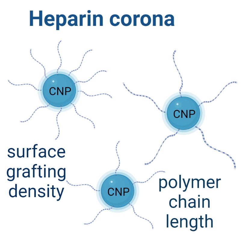 Megan Lord (@drmeganlord) on Twitter photo Excited to share the latest article from the team including <a href="/LucyFu3/">Dr. Lu Fu</a> where we tune the intentional corona of cerium oxide nanoparticles to promote angiogenesis: doi.org/10.1093/rb/rba…
<a href="/UNSWRNA/">UNSW RNA Institute</a> <a href="/TyreeIHealthE/">UNSW Tyree IHealthE</a> #BioMedEng Excited to share the latest article from the team including <a href="/LucyFu3/">Dr. Lu Fu</a> where we tune the intentional corona of cerium oxide nanoparticles to promote angiogenesis: doi.org/10.1093/rb/rba…
<a href="/UNSWRNA/">UNSW RNA Institute</a> <a href="/TyreeIHealthE/">UNSW Tyree IHealthE</a> #BioMedEng