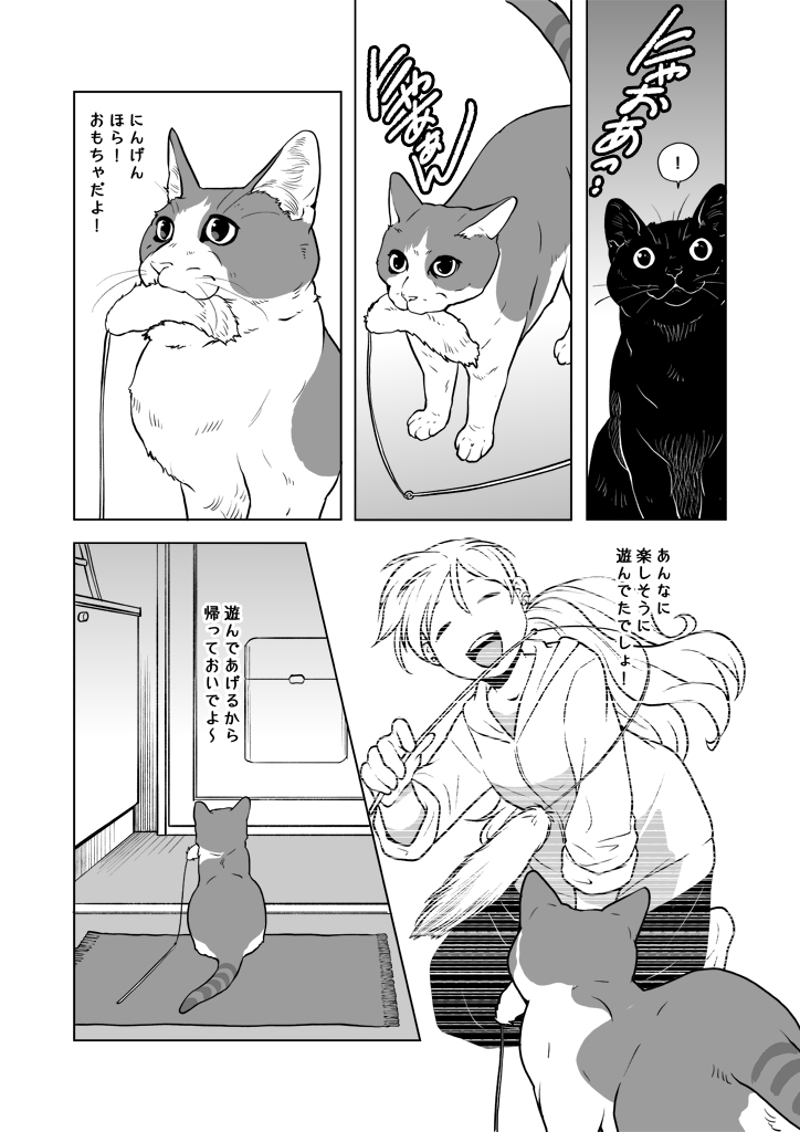 人間不在のときのお家のねこたち。

#漫画が読めるハッシュタグ
「おうち」と「ねこ」にまつわる日常を中心に描くエッセイ漫画集を多数の #電子書籍 ストアにて #BLIC出版 より配信開始。
#まるかふぇ電書
「おうちねこじかん」
https://t.co/Vs2jNvUzcS 