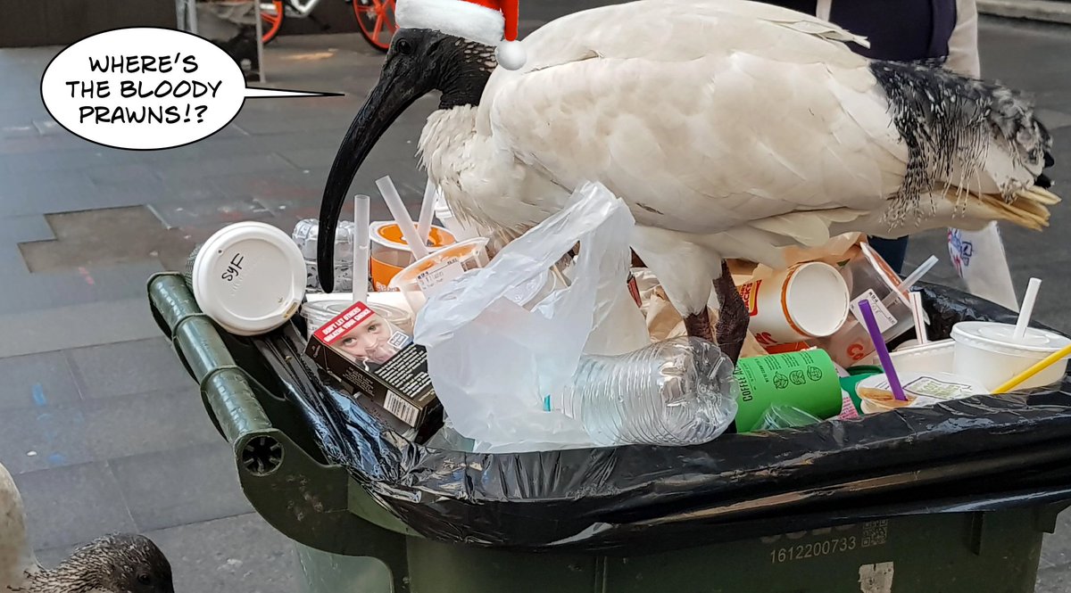 bin_kingz's tweet image. On the 2nd day of this Xmas comp, Bin Santa is givin’ you the chance to win artwork by @Scottie_marsh 
Just:
🗑️Join Discord discord.gg/bin-kingz  (if you haven’t already) type !Honk in general-honk
🗑️Retweet with “Honk”
👇