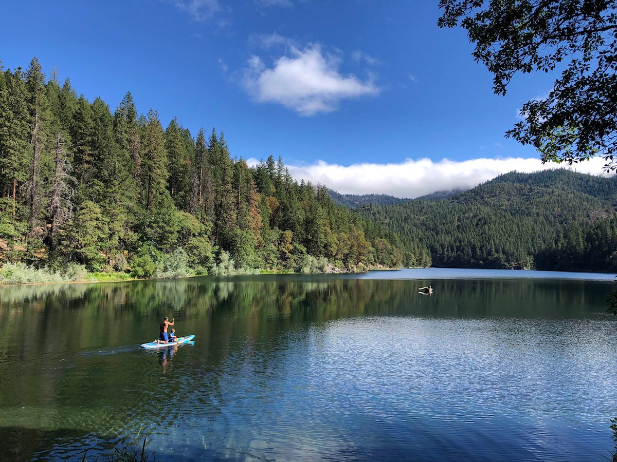 Christine Riley tweet media