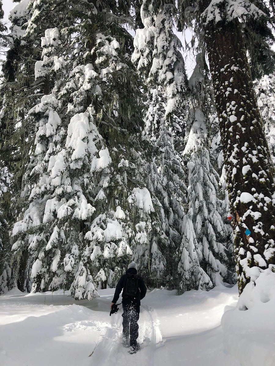 Christine Riley tweet media