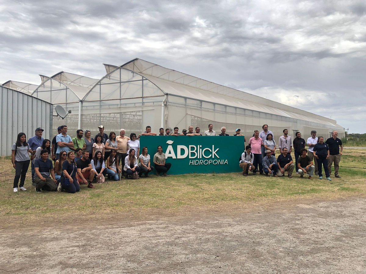 Aprender compartiendo, la síntesis de lo vivido este 10 de noviembre en Lima en el encuentro de intercambio técnico sobre 🍓frutilla en sustrato. Desde que se instalaron las 1,5 ha de frutilla en sistema NGS acompañamos la experiencia de Adblick Hidroponia.