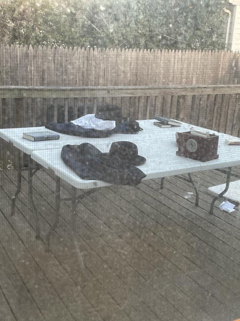 Elly Storch tweet media