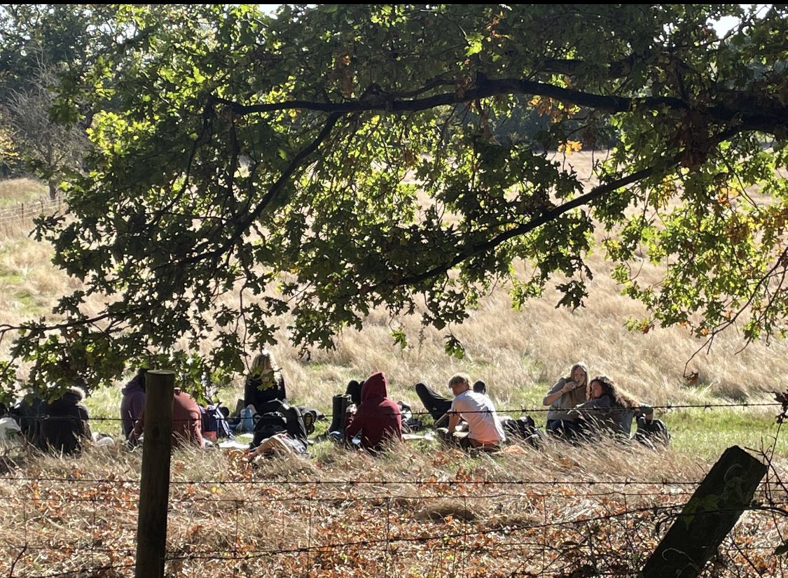 SciencePlume's tweet photo. Plume’s enthusiastic year 13 biologists welcomed the opportunity to engage with an outdoor classroom experience, organised by our Head of Biology Dr Georgiou and supported by Mrs Smith and Mrs Heslop. https://t.co/BZu6MWaJSy