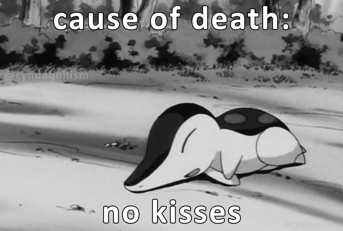 Cyndaquilism's tweet photo. https://t.co/hx7vSVu3Sg