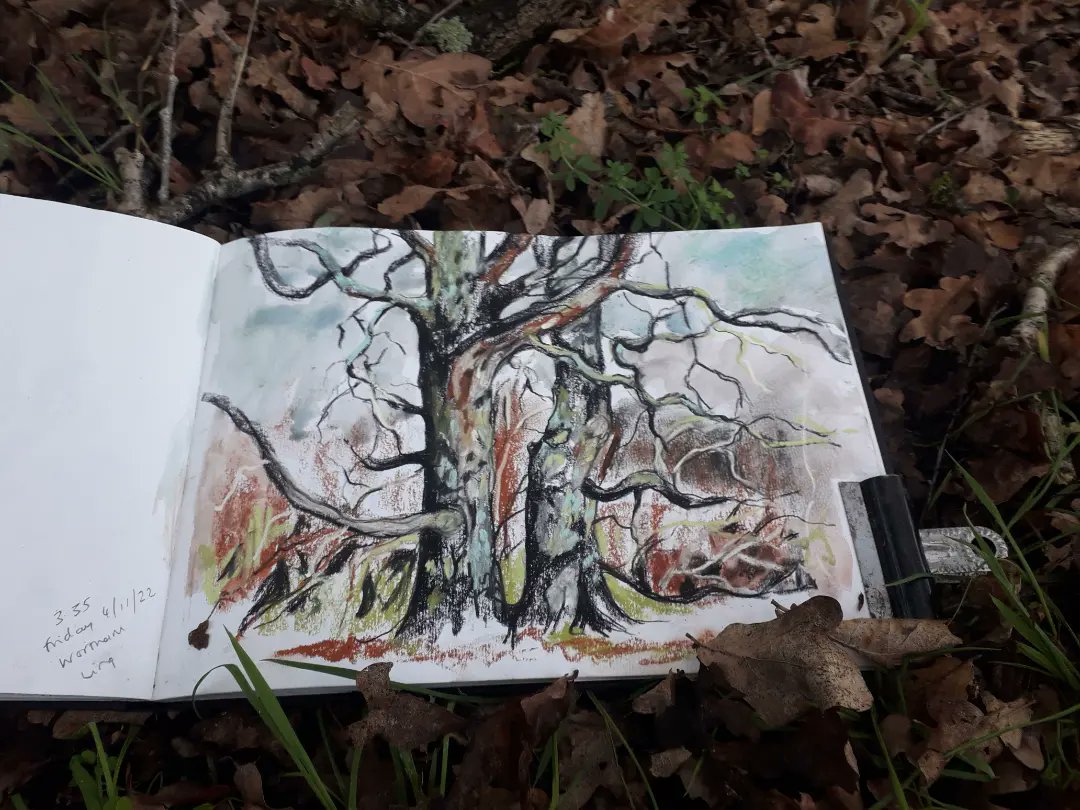 Deborah Vass tweet media