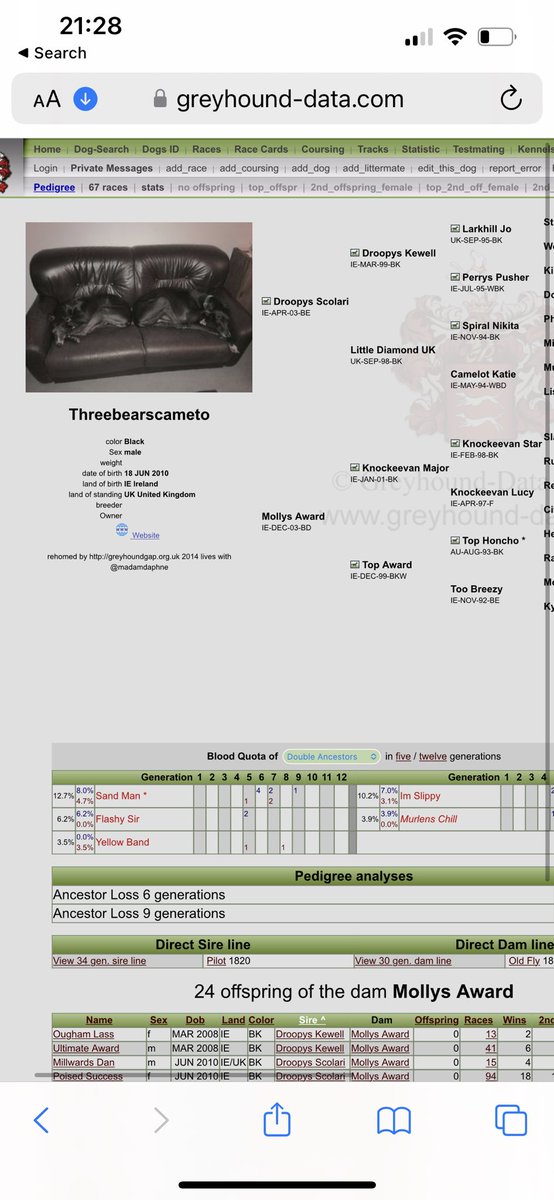 end of an era. find human @brazenjules tweet media