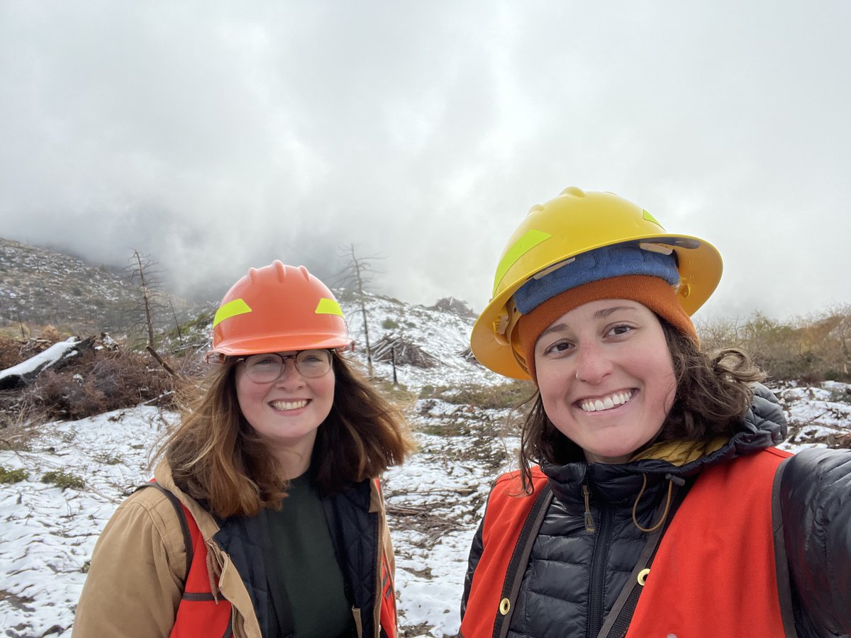 DyerDialogue's tweet photo. Last week @AmericanForests was in the #RoughFire marking units & prepping for planting - next spring we will be planting across four different locations (~1200 acres) as a part of our Sequoia Wildfire Reforestation & Recovery Project! #ReforestAmerica @sequoiaforest @CALFIRE_TUU https://t.co/BQdZ6iMeuS