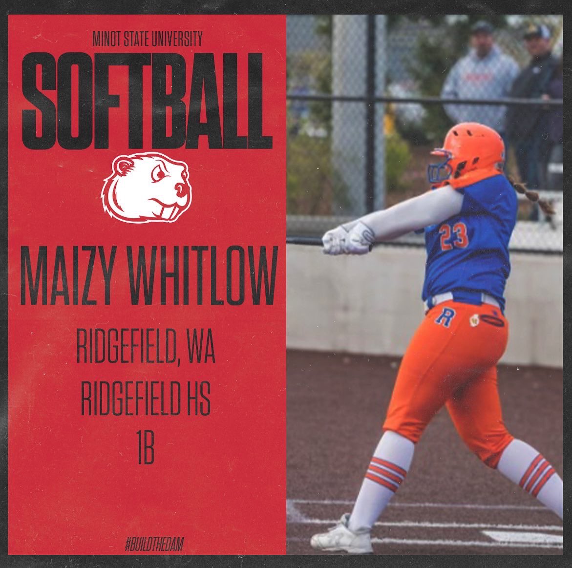 Minot State Softball tweet media