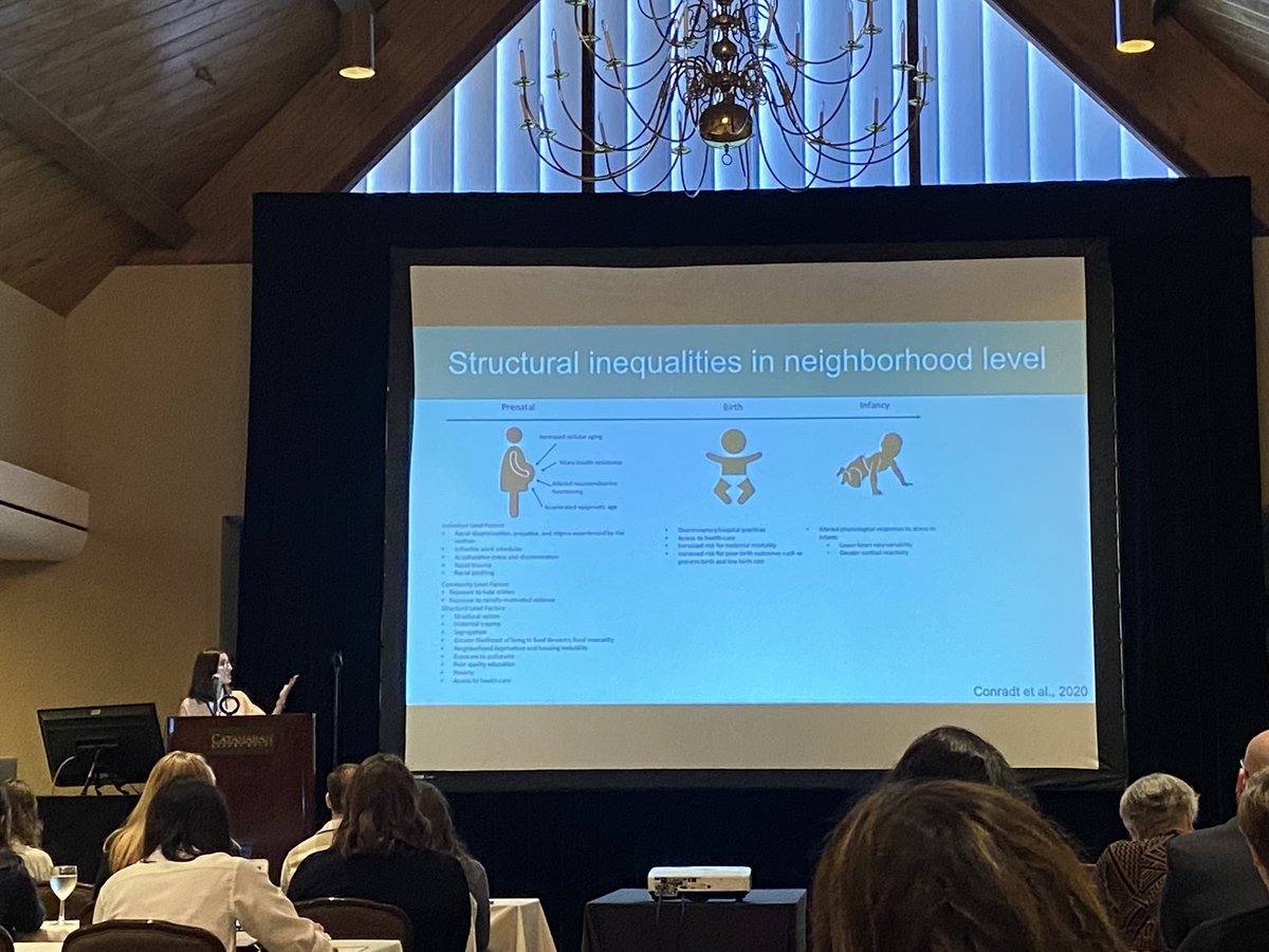 Özlü Aran kicking off the #isdp2022 Young Investigator Symposium with a really thoughtful discussion of structural inequity, racial/ethnic discrimination, and prenatal stress. I love seeing this kind of structural DOHAD work 🙌🏻