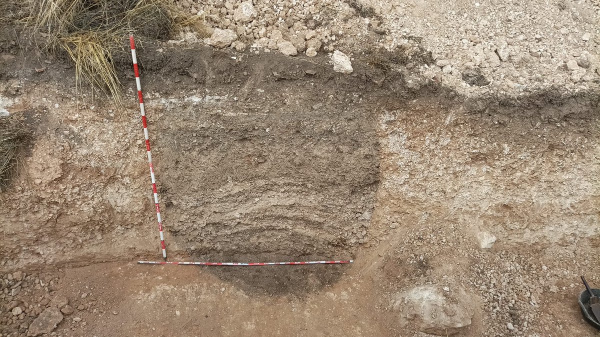 SOCiedades LOCales tweet media