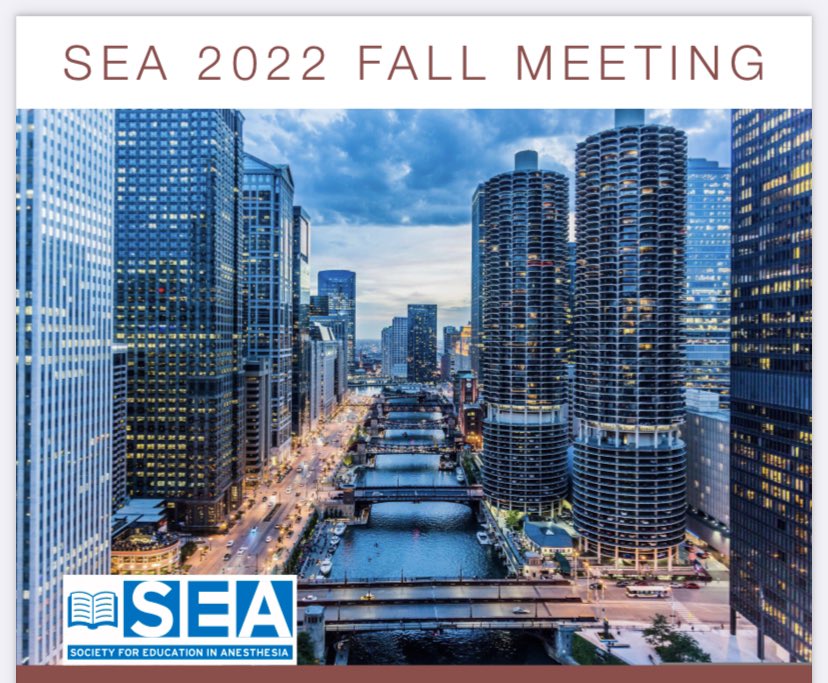 Great start to my time in Chicago. Panel on the identities we bring to our profession. The journey, skills, values - shape our work. 💡 #mentorship is SO important. #SEA22FALL @SEAnesHQ