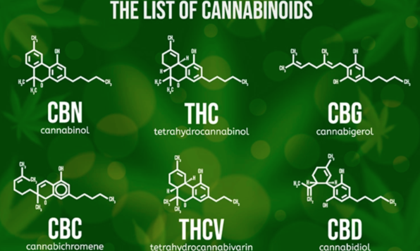 PanXchange's tweet photo. "Hemp-derived #THC and similar products have permeated THC markets throughout the nation to the point where they consist of up to 75% of total #hemp cannabinoid demand." Analysis from @PanXchange 's #SethBoone 
Hemp’s Role in US Marijuana Price Crash
https://t.co/8A93eJrccg https://t.co/FIyRShNYR4