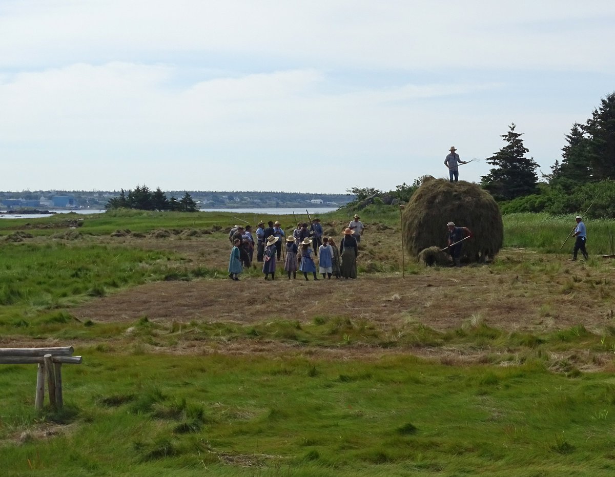 Souvenir d'été. Visite du camp de jour pour voir la barge de foin salé s'empiler ! #Acadie
Summer memory. Daycamp visit to see the salt hay stack piling up! #Acadia