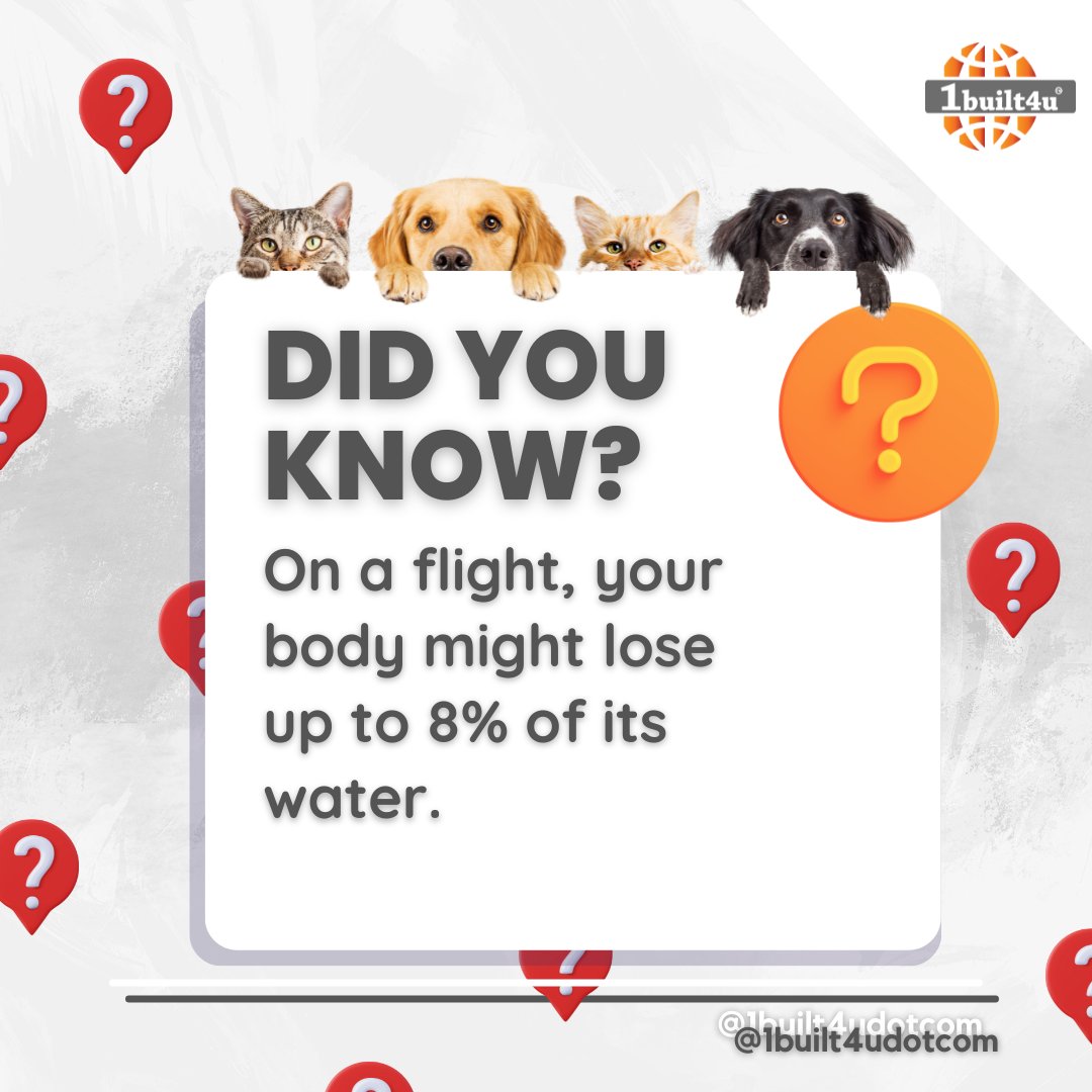 Did you know?

On a flight, your body might lose up to 8% of its water.

#1built4u #1built4udotcom #DidYouKnow #dailyfacts #factsdaily #facts #FactsChallenge #FactsMatter #aeroplane #aeroplanelovers #human #humanweight #climate