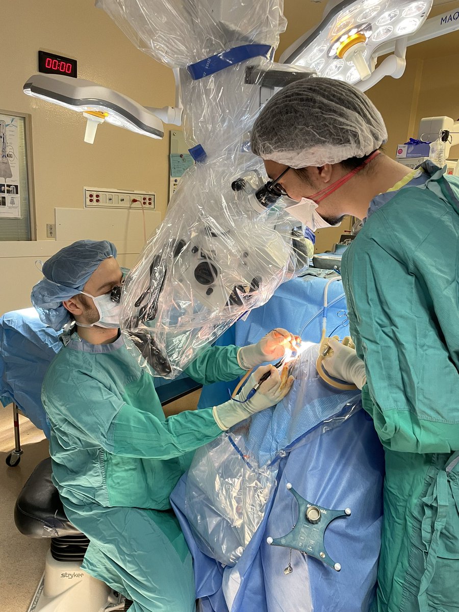 DrNirLipsman's tweet photo. Not as tasty as @benandjerrys but this Ben and Jerry definitely better for your brain! @BenDavidson__ @Jerry_Ku @Sunnybrook https://t.co/tUcfqvHAjr