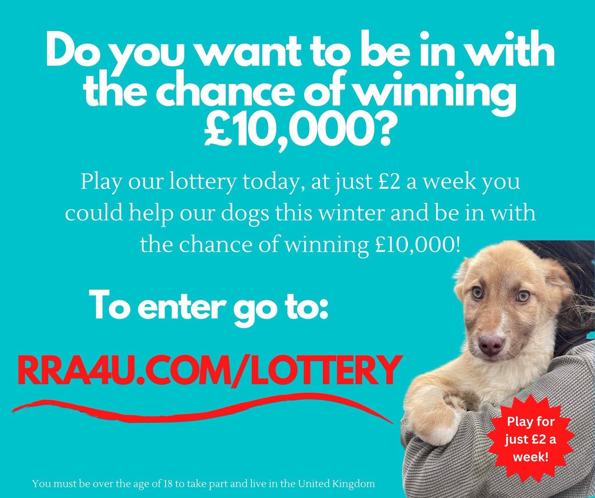 Romanian Rescue Appeal tweet media