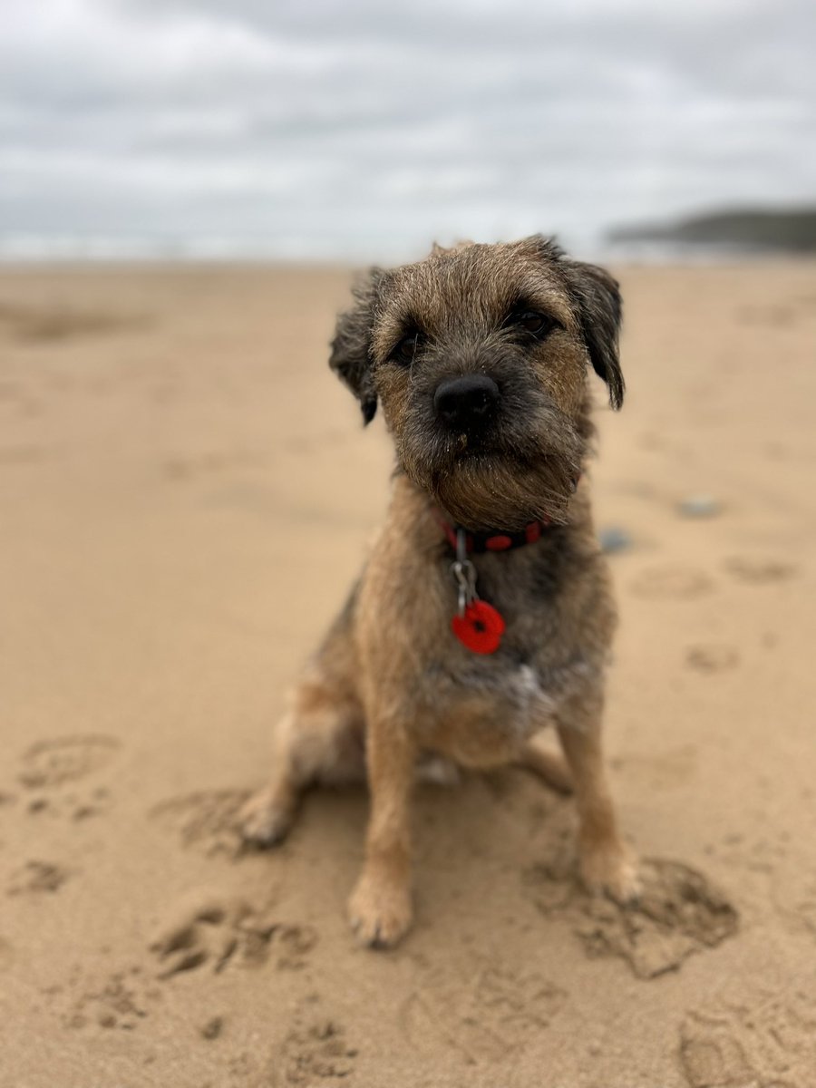 Hamish (@hungryhamishbt) on Twitter photo 