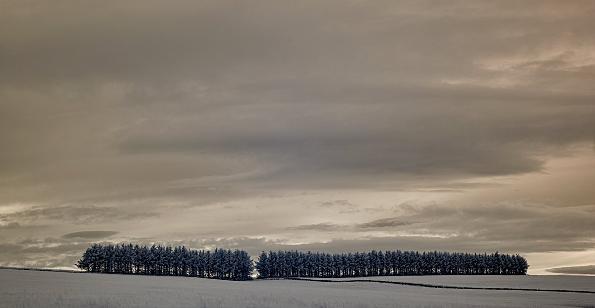 Philip Clemo tweet media