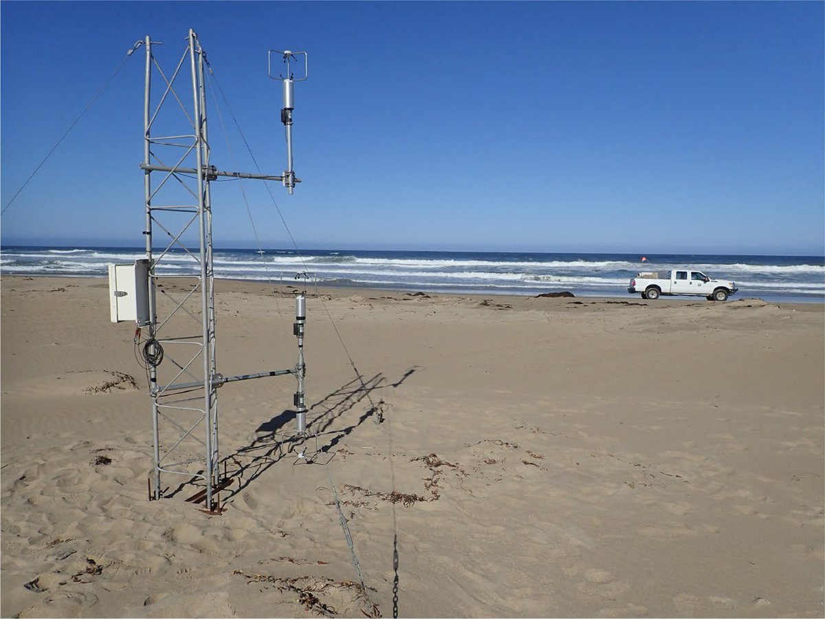 Ian J. Walker tweet media