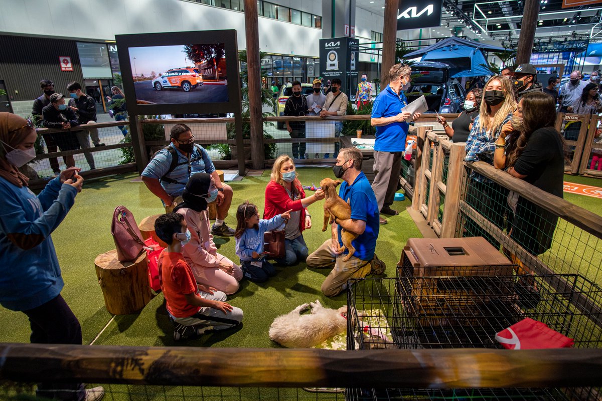CTAutoShow's tweet photo. Find your next car &amp; bring home a new member of the family at the CT International Auto Show! #SubaruLovesPets will hold their pet adoption event at the #CTAutoShow on all 3 days! Buy tix at https://t.co/bKWz5IaS3y &amp; for more info on pet adoptions visit https://t.co/ffSL0NvWbN! https://t.co/Y4u3zR931X