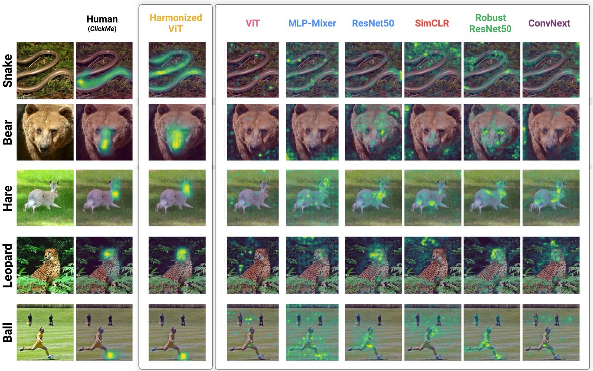 Check out our new paper, to appear at NeurIPS. We show that DNNs are becoming progressively *less* aligned with human perception as their ImageNet accuracy increases. Ignore the elections, Elon, and FTX for a moment — this is important!
serre-lab.github.io/Harmonization/