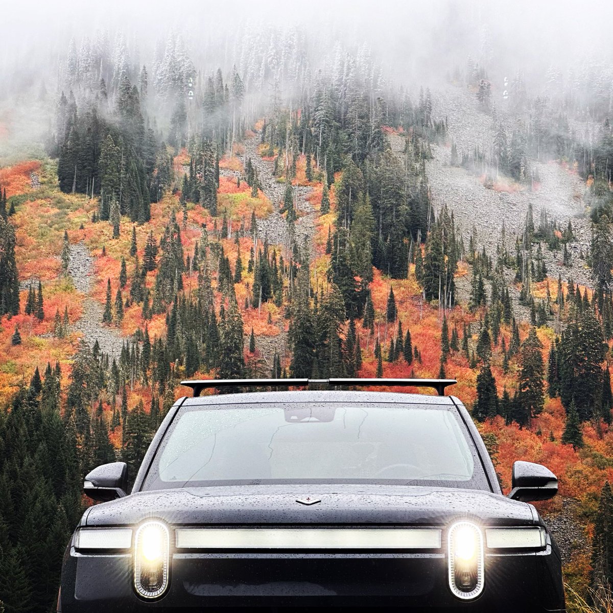 Rivian tweet media