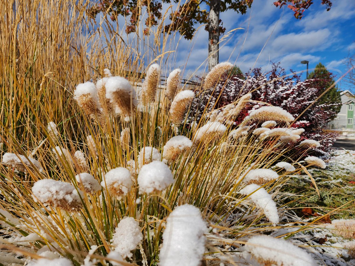 contractorsPOV's tweet photo. Just a little dusting
#winterisbeautiful #galaxyfold4 https://t.co/VYQ1gDPnFS