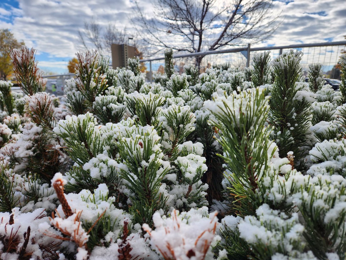 contractorsPOV's tweet photo. Just a little dusting
#winterisbeautiful #galaxyfold4 https://t.co/VYQ1gDPnFS