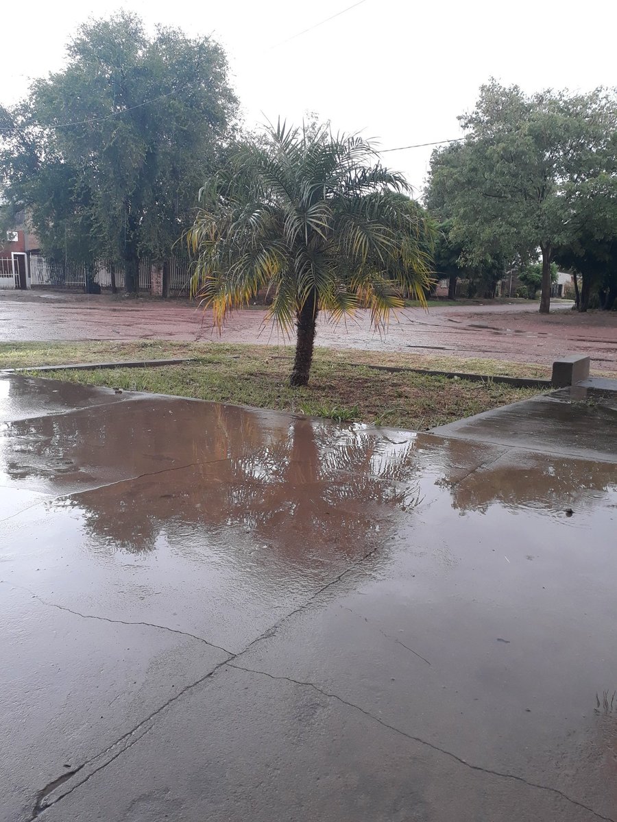 usatorrenory's tweet photo. Linda lluviecita gracias Dios🌴🌧 https://t.co/omQfgTE06O