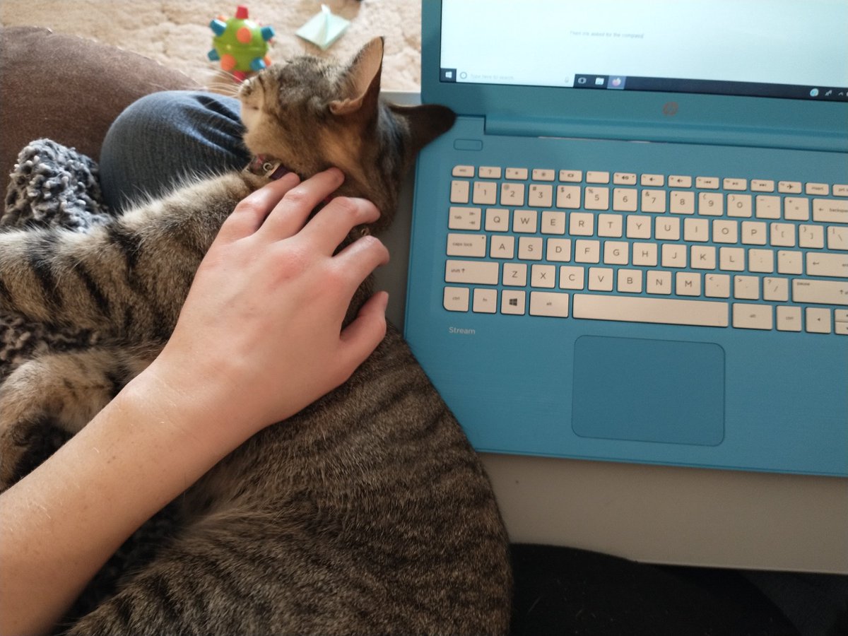 SarSew1218's tweet photo. Someone's helping me write today lol
#writingcommunity #authors #authorlife #writerscommunity #Cat https://t.co/kUDVCaWxB2