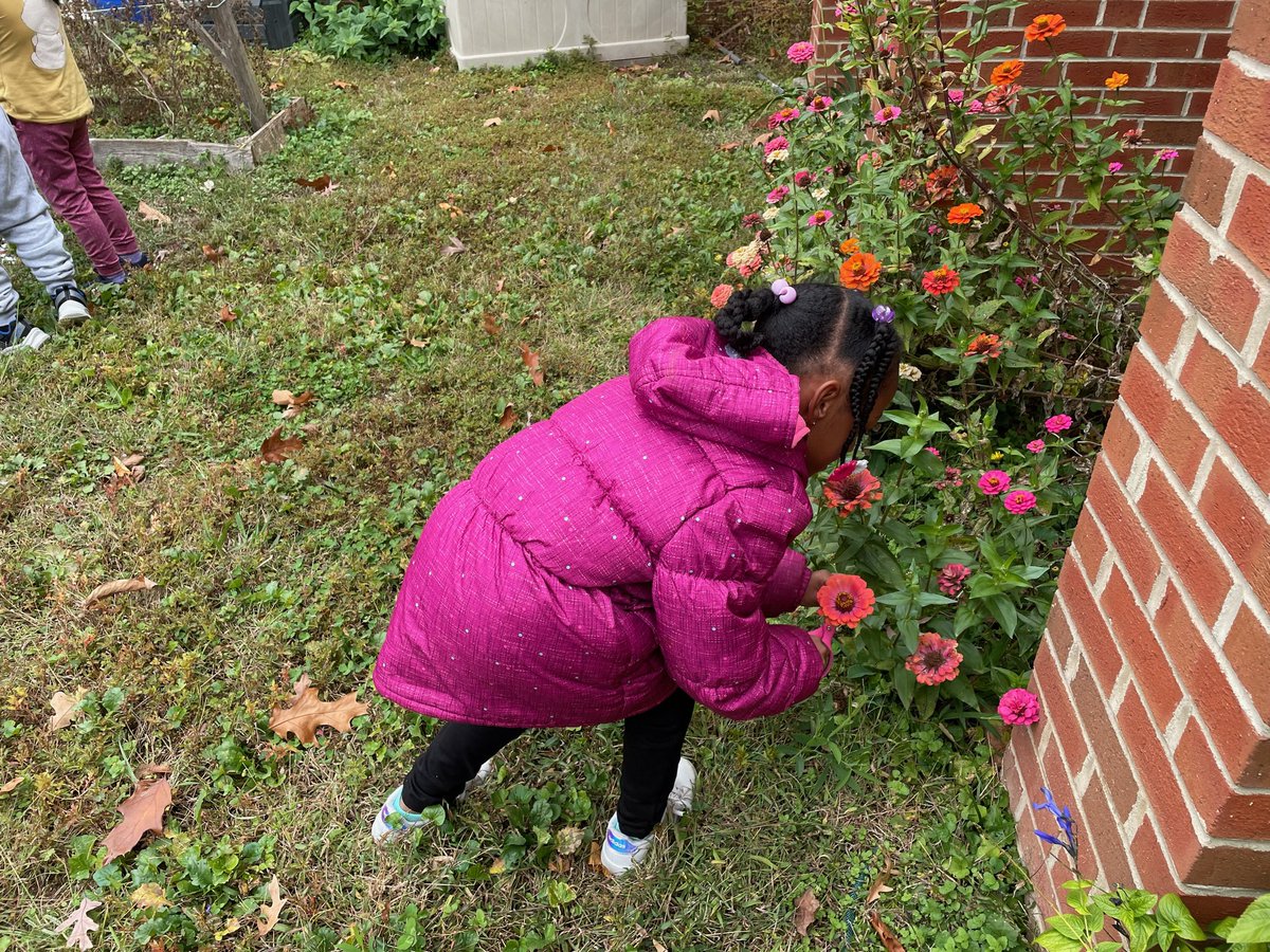 TiffanyFBulloc2's tweet photo. Ms. Saleh’s  kindergarteners are selecting flowers from our school garden to use in their collaborative art project. I can’t wait to see the finished product. #weareartsmart #wearenaturesmart @DouglasESDragon https://t.co/NqkBjbYhql