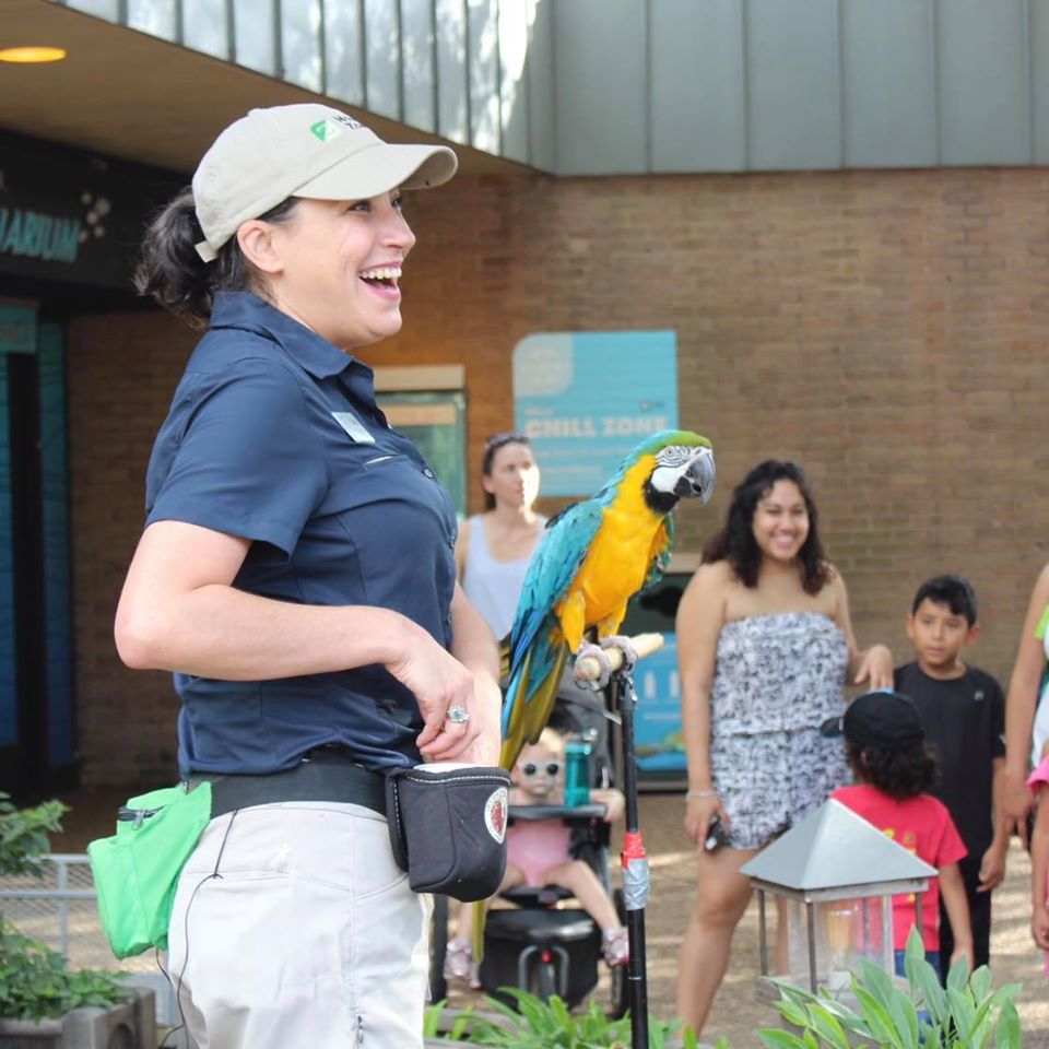 houstonzoo's tweet photo. 👏 Let's give a round of applause to all Zoo &amp; Aquarium educators! It’s the 50th anniversary of the International Day of Zoo and Aquarium Educators. (1/2)
#izeday #ize50years #izeducators #izegoldenanniversary #zooaquariumeducator https://t.co/ey1do6gj39
