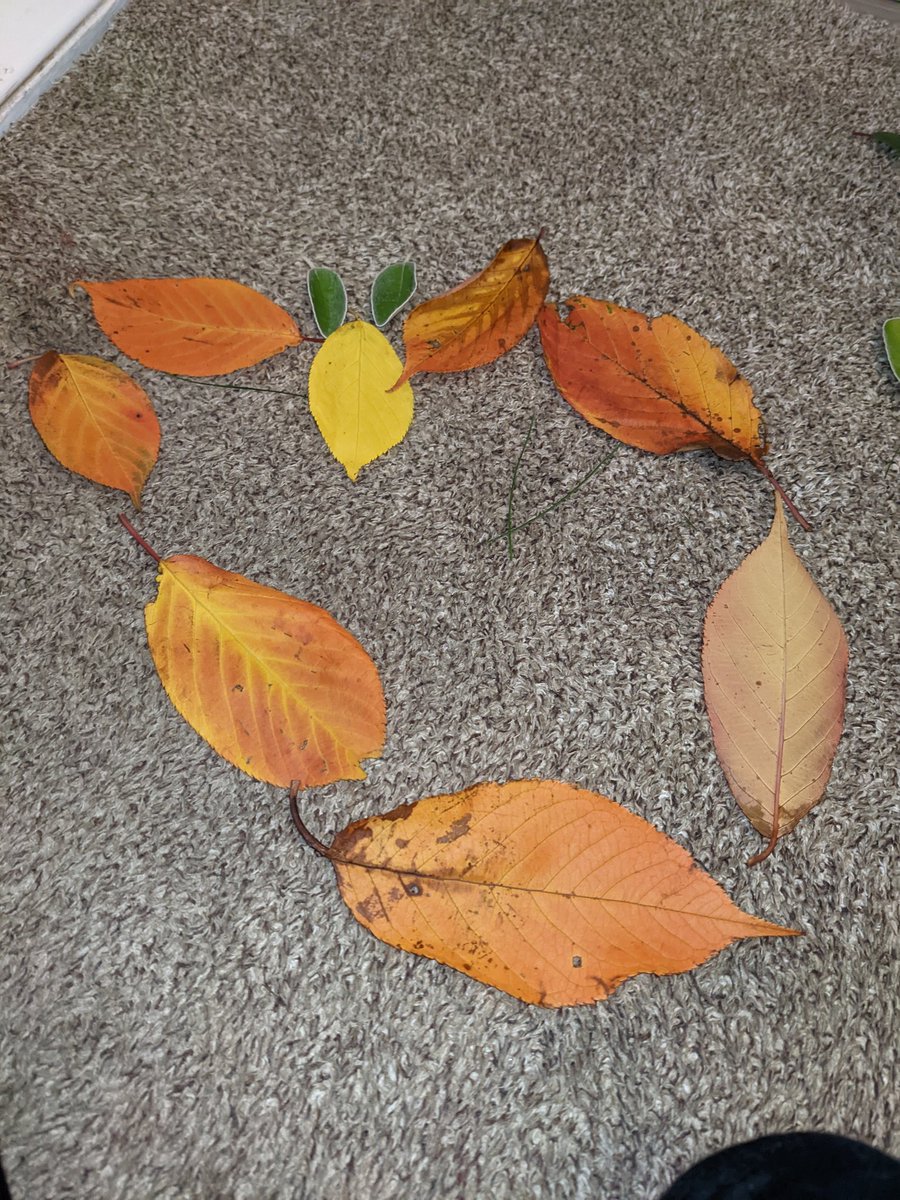 PoppetRocks's tweet photo. @P1aNewarkPS Emilia braved the cold tonight to find some leaves for our homework but we had to make the patterns inside so they wouldn't blow away 💨🤭 https://t.co/1LAswgzN73