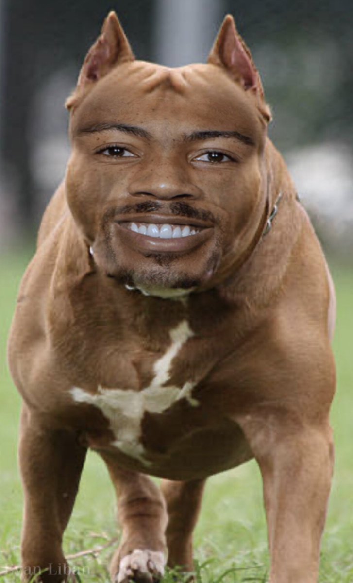 EvanLiban's tweet photo. @ZoraStephenson @Bucks It’s cause he got that DAWG in him Zora https://t.co/hK8RSLM190