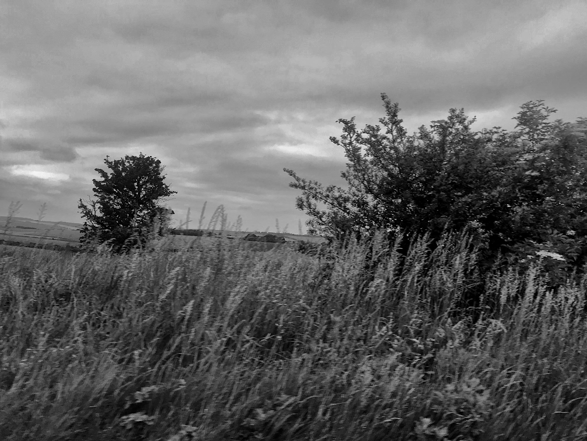 Hookland tweet media