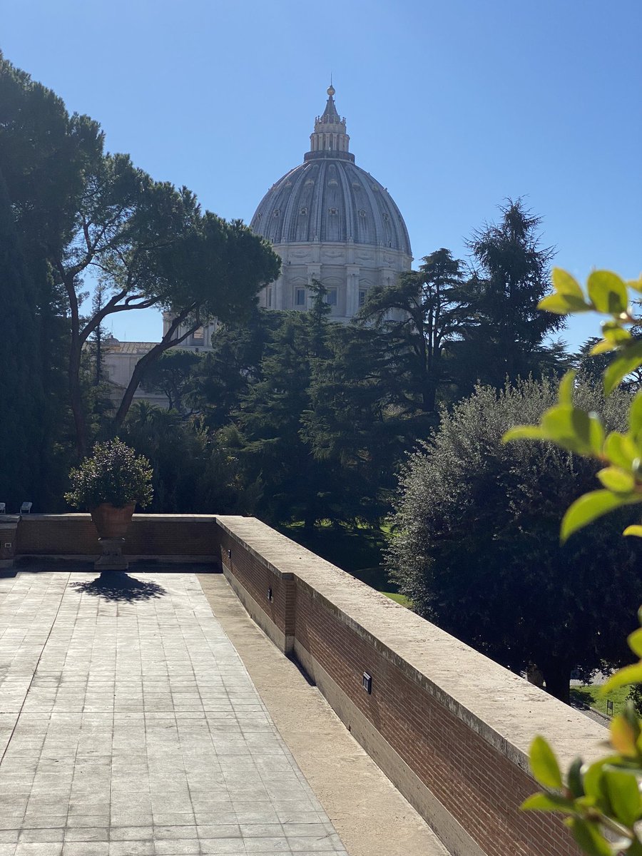 Trea Murphy 🌷 tweet media