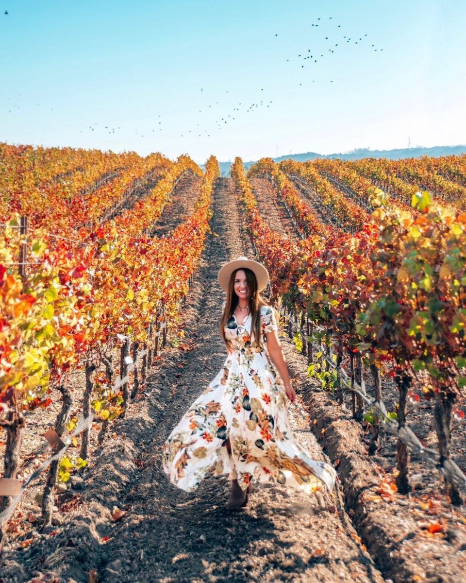 Fall has arrived in Wine Country!! 😍🍂 Wine lovers, this is the best time to explore Paso Robles. Join us to enjoy wine tasting, frolicking through amber-colored vineyards, festive holiday events, &amp; more! Book direct &amp; save 20% today—link in bio. ✨

Photo | @LAtravelgirl