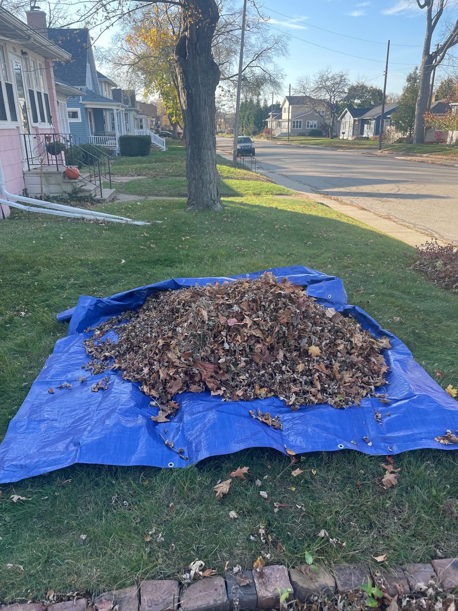 YSMichigan's tweet image. Members of our Youth Solutions team are raking a difference today! Thank you @UnitedWay_SWMI for organizing this wonderful event and giving us the opportunity to give back to our community. 

Learn more about #RAKEADIFFERENCE, here: bit.ly/3UHNlBy

#MakeaDifferenceMonth