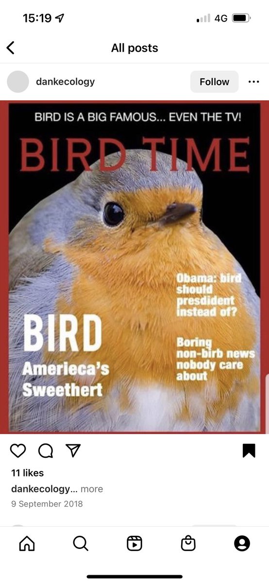 mrdbirdy's tweet photo. #birdoftheyear https://t.co/A4Kdw4rIFa
